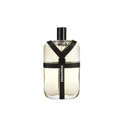 ادکلن دسکوارد2 وایلد Dsquared2 Wild 100ml