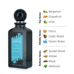 ادو پرفیوم مارین دیوینا امارات DIVINA PERFUMES Marine 100ml